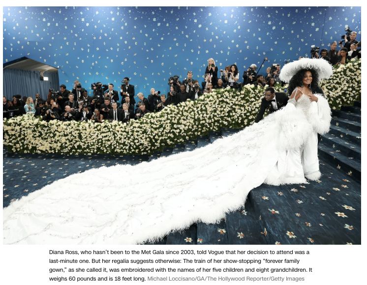 MET GALA 2025 RED CARPET